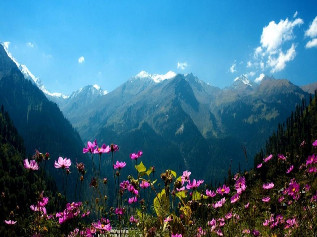 The Grand Welcome Hotel Manali  Exterior photo